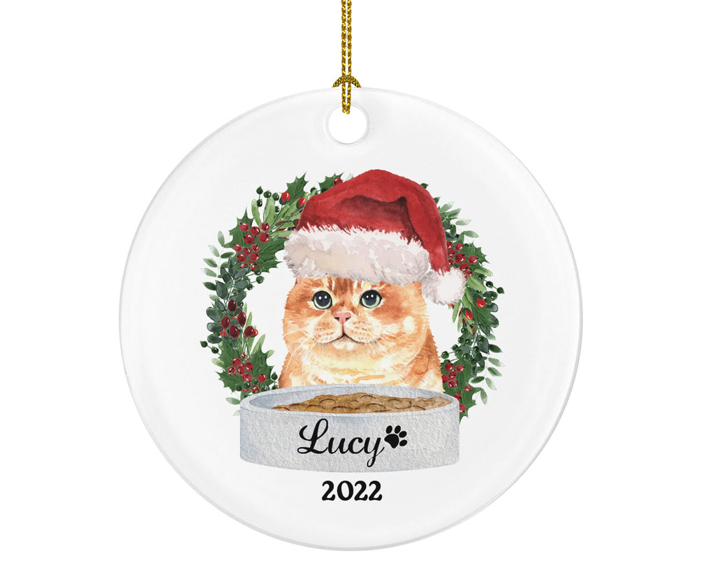 Cat Personalized Christmas Ornament Custom Pet Lover Owner Gift Fur Holiday Ornament Rescue