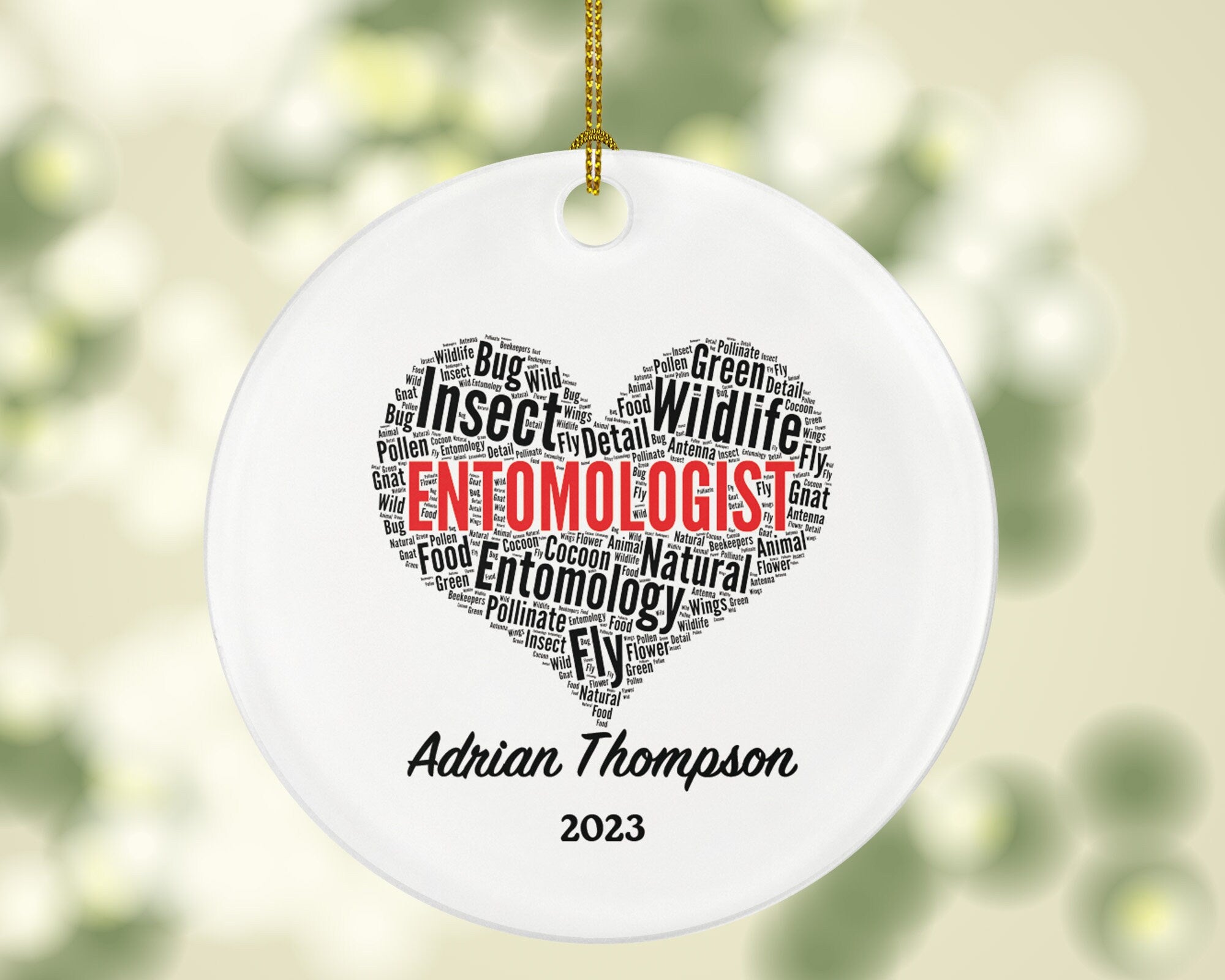 Personalized Entomologist Christmas Ornament - Insect Researcher Occupation Entomology