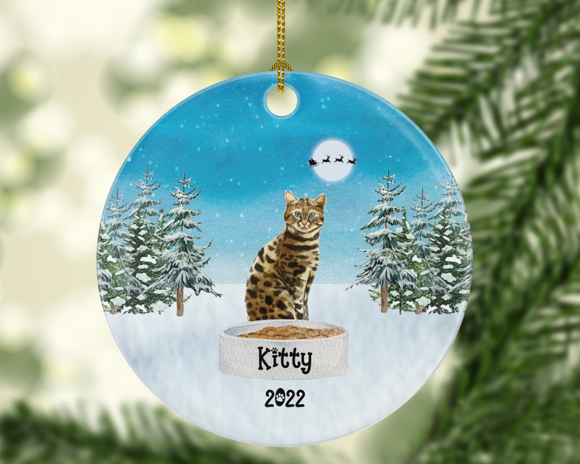 Dog Cat Personalized Christmas Ornament Custom Pet Lover Owner Gift Fur Holiday Ornament Rescue