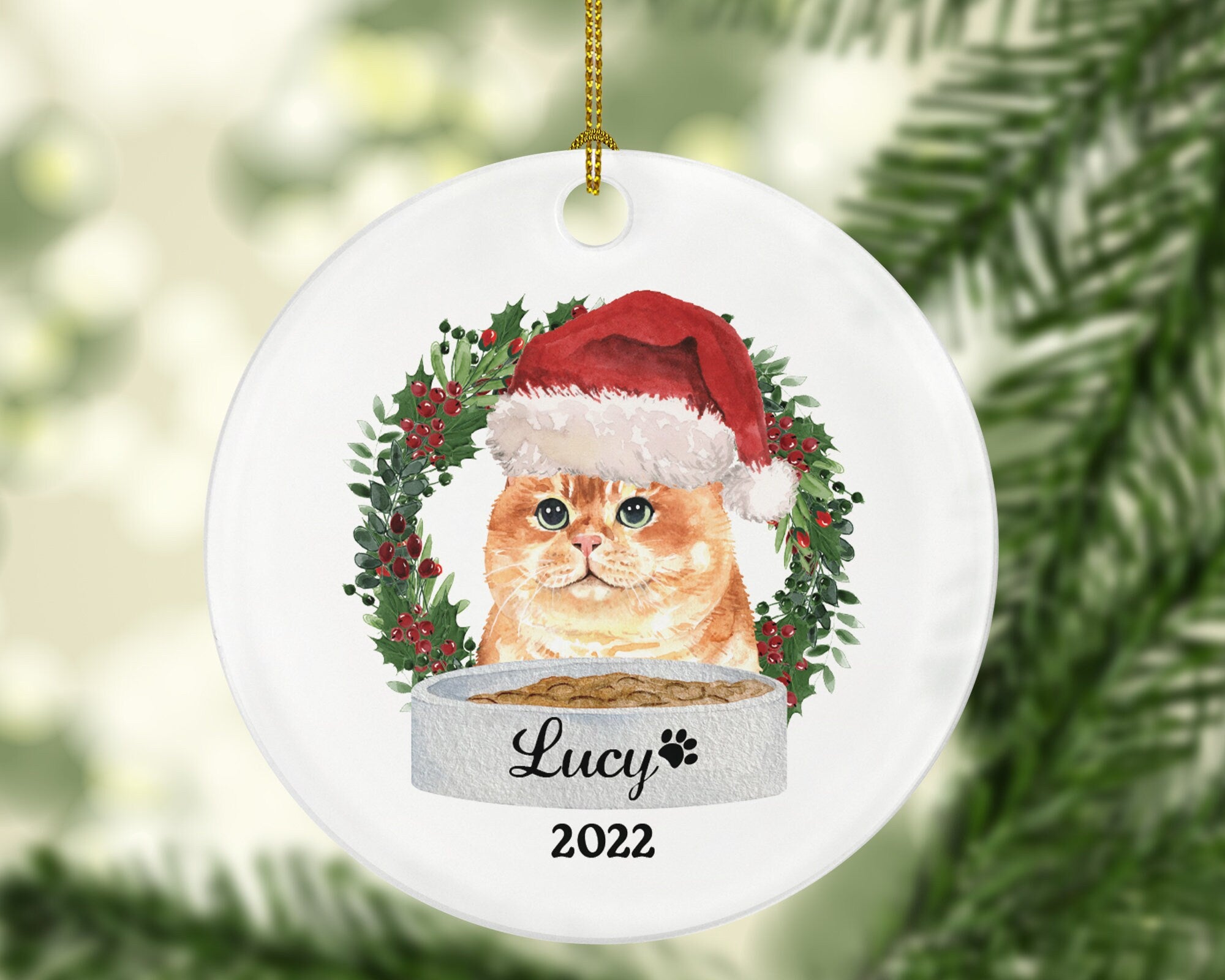 Cat Personalized Christmas Ornament Custom Pet Lover Owner Gift Fur Holiday Ornament Rescue