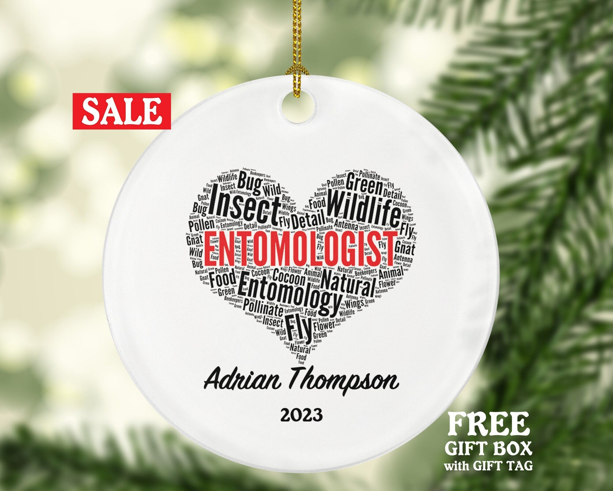 Personalized Entomologist Christmas Ornament - Insect Researcher Occupation Entomology