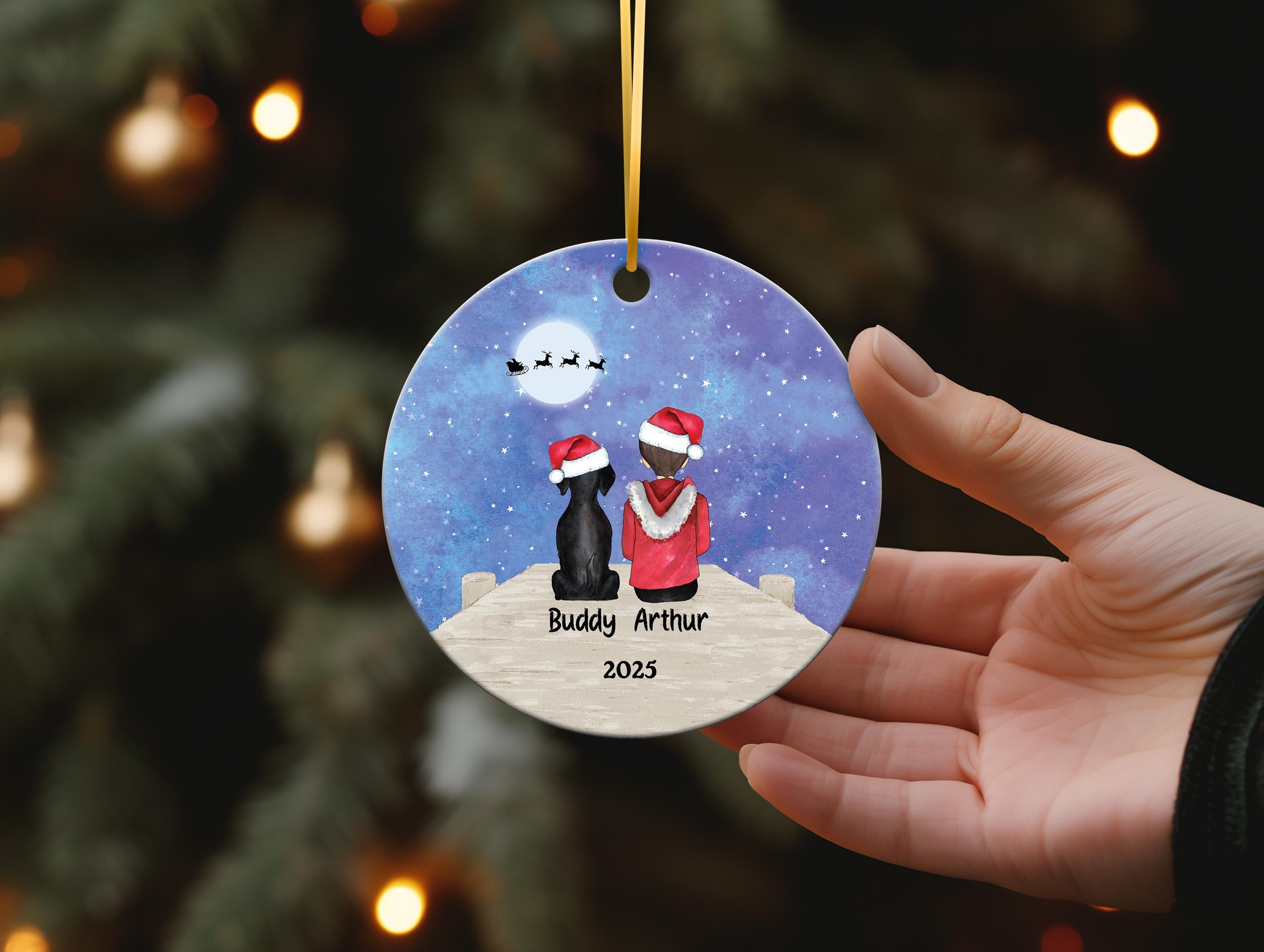 Dog Cat Pet and Boy Doc Personalized Christmas Ornament Rabbit Horse Pig Bird Otter Custom Son Lover Owner Gift Fur Holiday Rescue Breeds
